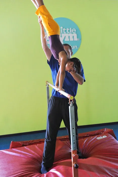 The Little Gym of Pearland Picture 5