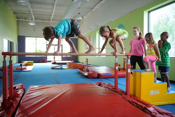 The Little Gym of Pearland Picture 9