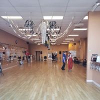 Dance Vision Studios - Pearland ico
