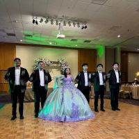 Houston DanceStars ico