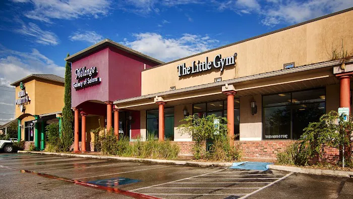 The Little Gym of Friendswood Picture 6