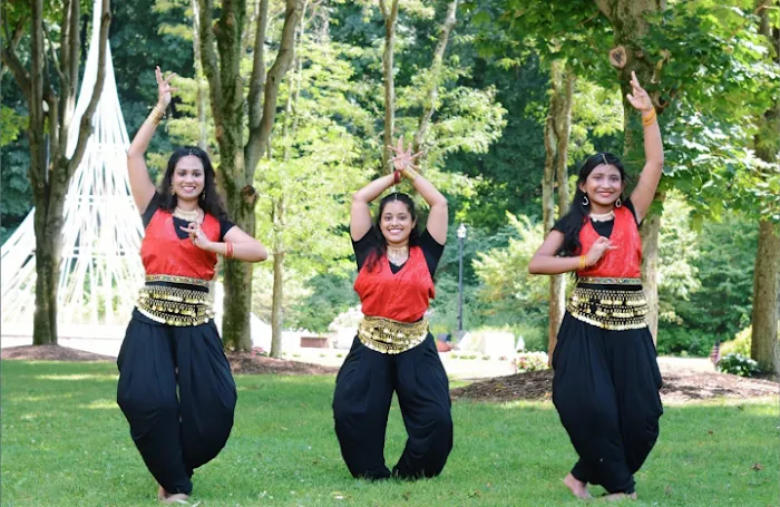 Cinemudra Dance Academy Picture 6