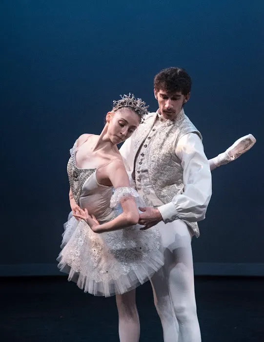 Academy of City Ballet of Houston Picture 4