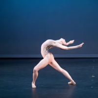 Academy of City Ballet of Houston ico