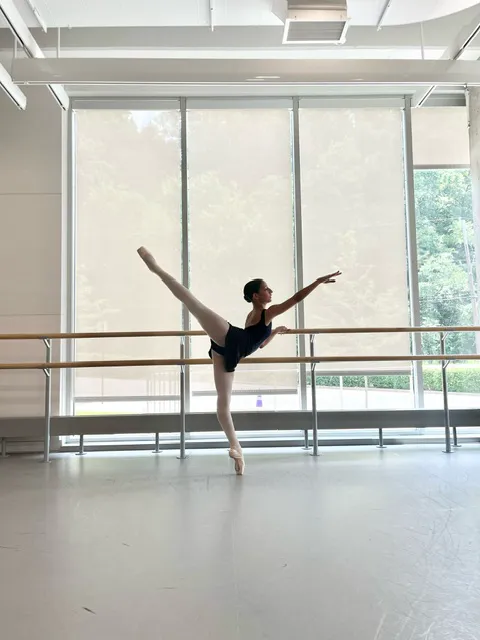 Academy of City Ballet of Houston Picture 7