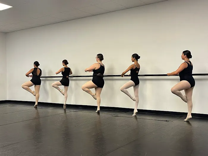 Profusion Performing Arts Picture 2