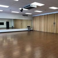 Profusion Performing Arts ico