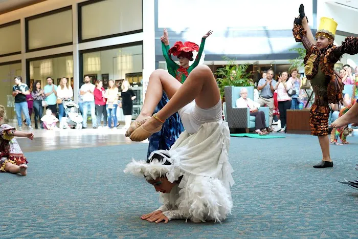 Sunrise International Dance Company Picture 1