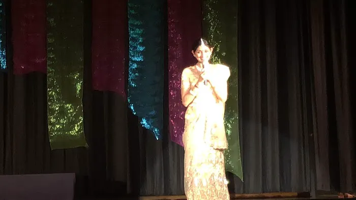 Sreepadam Performing Arts and Cultural Education (Divyaa Unni) Picture 4