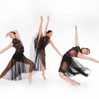 Sugar Land Dance Center ico