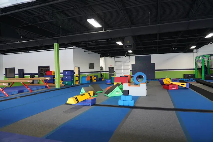Alpha Omega Gymnastics & Dance Pearland Picture 1
