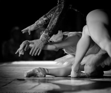 Feiju00f3o Ballet School