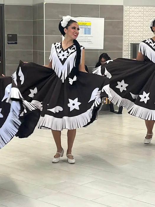 Academy of Folklore and Latin Rhythms Picture 9