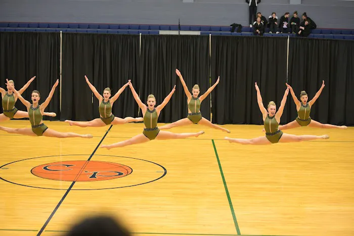 Dancin' Bluebonnets Dance Studio Picture 1
