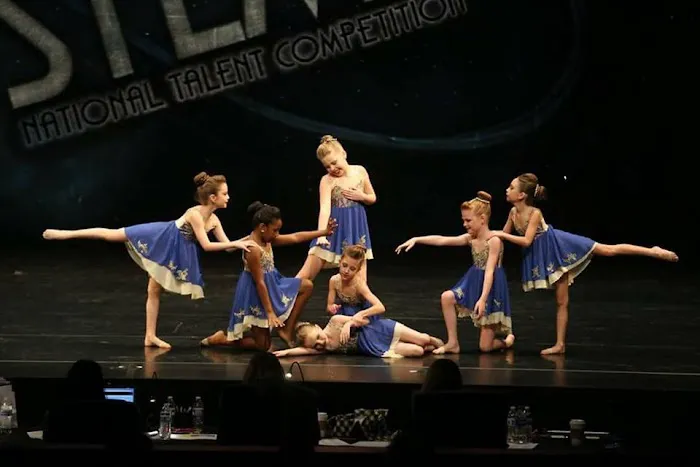 Performing Arts Center Picture 5