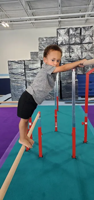 Alpha Omega Gymnastics & Dance Kingwood Picture 4
