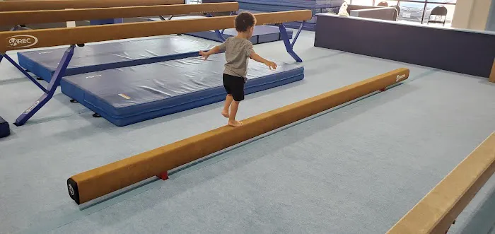 Alpha Omega Gymnastics & Dance Kingwood Picture 6