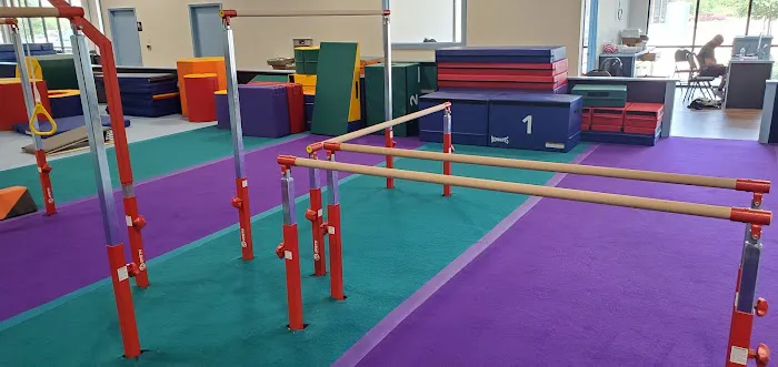 Alpha Omega Gymnastics & Dance Kingwood Picture 10
