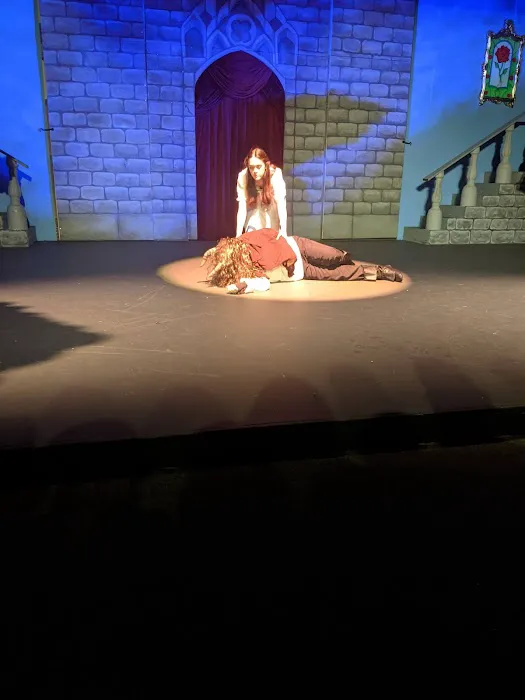 Spark Foundation: Dance, Art, Theater, Music Picture 2