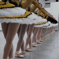 Ballet Center of Houston ico