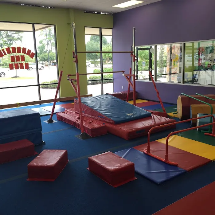 The Little Gym of Spring Picture 2