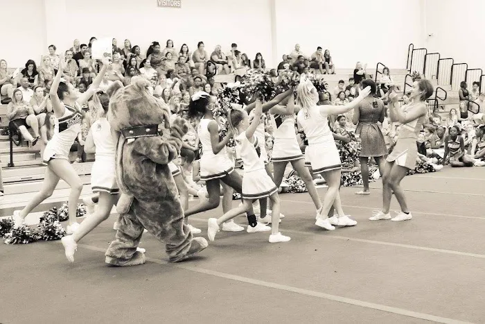 Sideline Spirit Cheer Company Picture 3