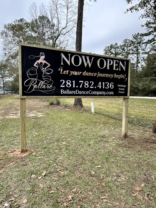 Ballare Dance Studio Picture 5