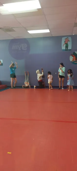 The Little Gym of Houston-Memorial Picture 6