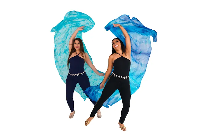 Hips and Dips Bellydance Picture 8