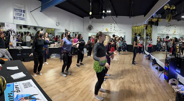 Hips and Dips Bellydance Picture 6