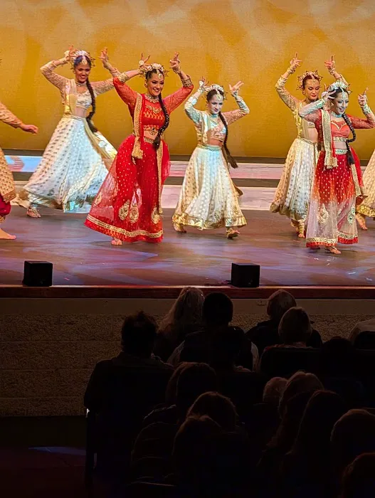 Rhythm India Indo-Fusion Bollywood Dance Classes and Academy Picture 3