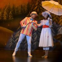 Arthur Murray Dance Studio ico