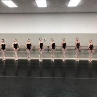 Vitacca Ballet & School For Dance, The Woodlands ico