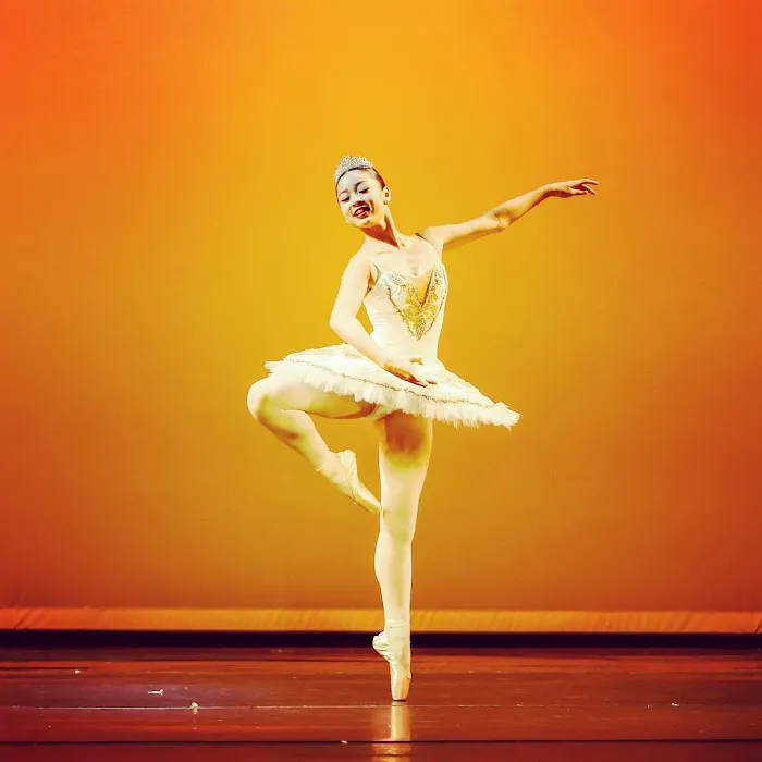 Vitacca Ballet & School For Dance, The Woodlands Picture 7