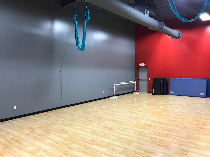 The Dance Vault Picture 6