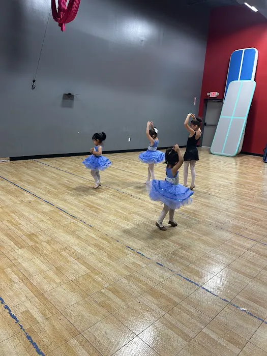 Firefly Arts Dance Studio Picture 8