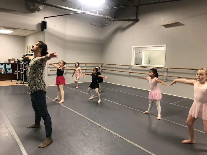 Woodlands Dance Theatre Corporation Picture 1