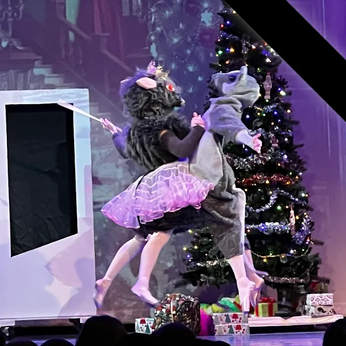 Woodlands Dance Theatre Corporation Picture 6