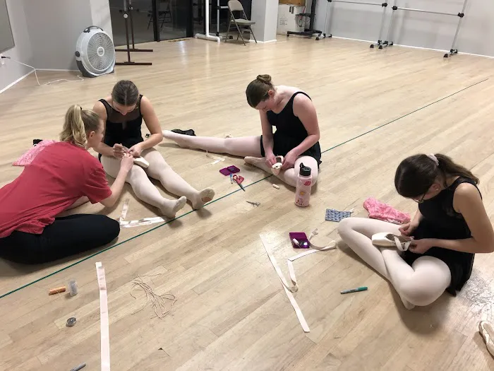Woodlands Dance Theatre Corporation Picture 3
