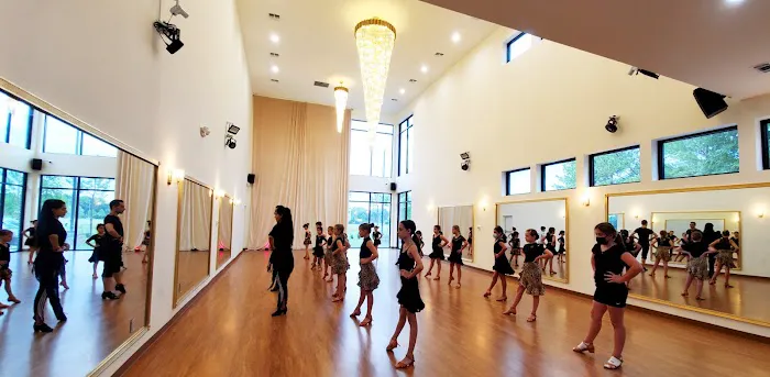 Dance With Stars Academy Picture 1