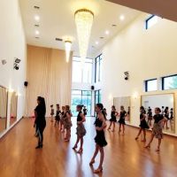 Dance With Stars Academy ico