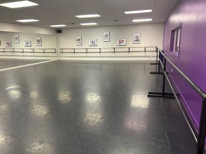 Artistry in Motion Dance Company Picture 8