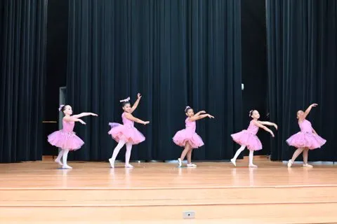 Ballet Elle Picture 5