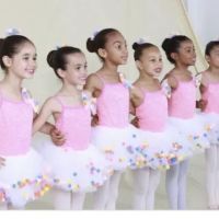 Art of Dance Academy ico