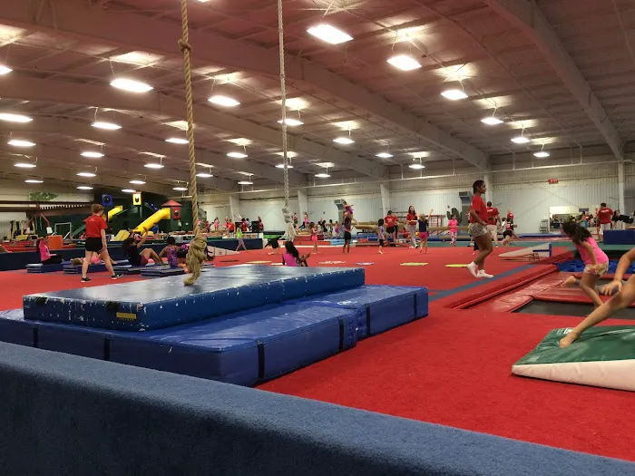 Westwood Gymnastics and Dance Picture 1