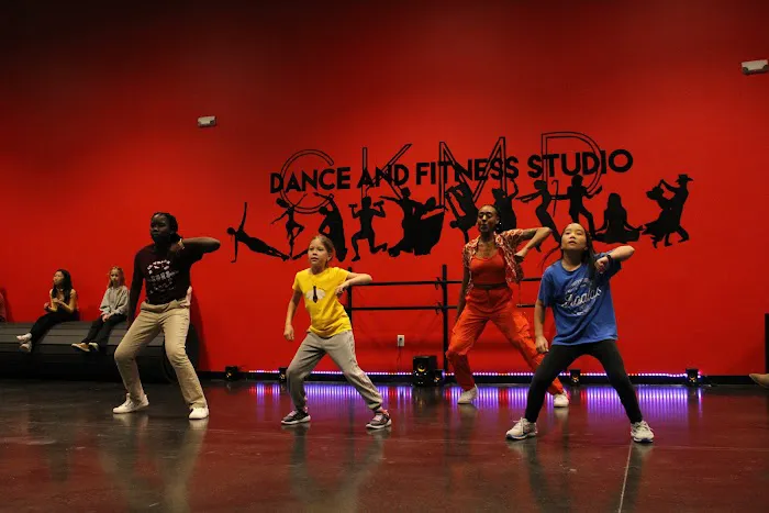 CKMD Dance And Fitness Studio Picture 2