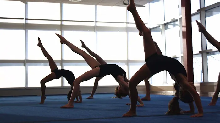 EnRich Gymnastics & Dance Academy Picture 7