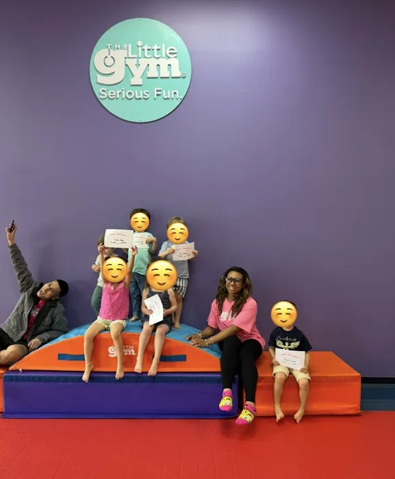 The Little Gym of The Woodlands Picture 4