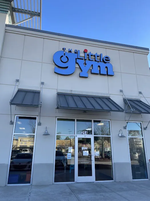 The Little Gym of The Woodlands Picture 2