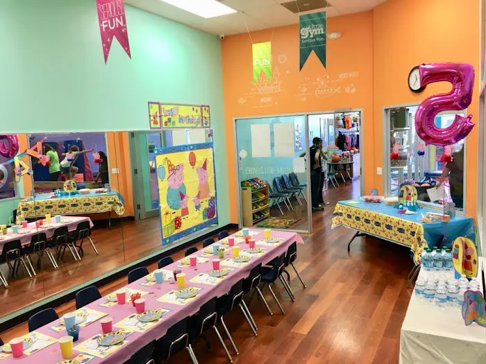 The Little Gym of The Woodlands Picture 8